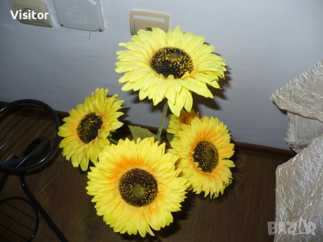 Panasonic Lumix DMC-LZ7   7.2МРх, снимка 14 - Фотоапарати - 52737242