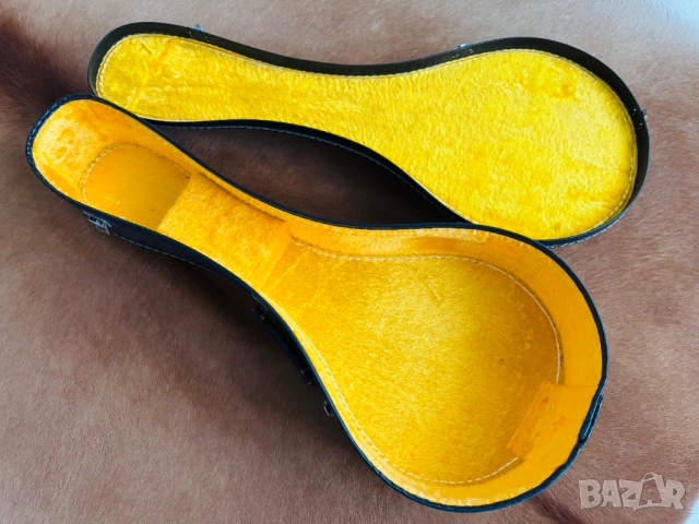 Made in JAPAN! 1970's Мадолина "The Kasuga" M-18 с оригинален кейс!, снимка 8 - Струнни инструменти - 53149511