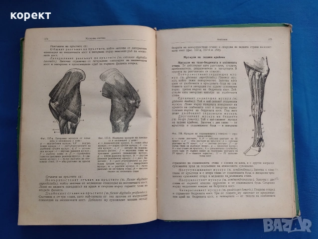 Физиология на селскостопанските животни с основи на анатомията , снимка 8 - Други - 53076336