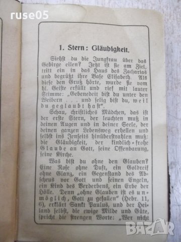 Книга "Die Jungfraunkrone aus zwölf Sternen-G.Weber"-384стр., снимка 3 - Художествена литература - 33073076