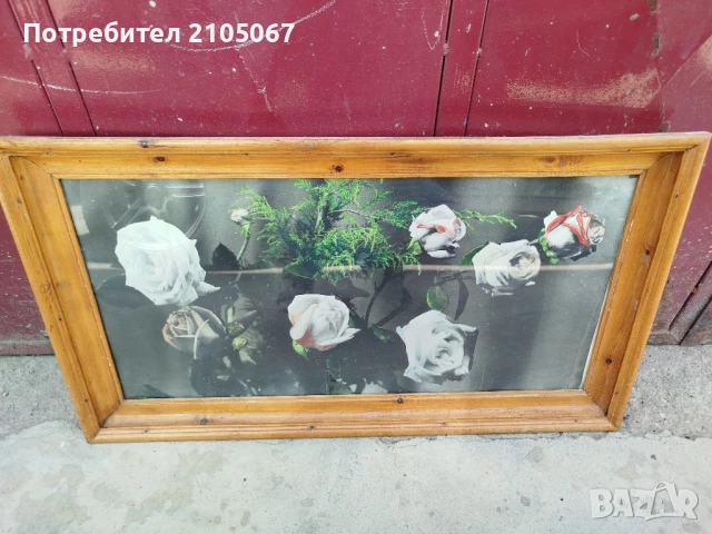 картина бели рози