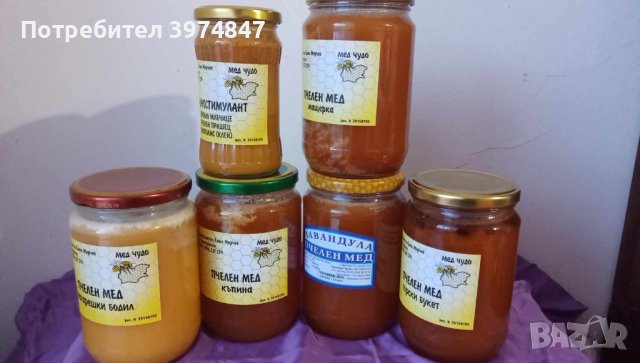 Уникален натурален пчелен мед МАГАРЕШКИ БОДИЛ, ГОРСКИ БУКЕТ, КЪПИНА, МАЩЕРКА и ЛАВАНДУЛА, снимка 1 - Пчелни продукти - 44102351