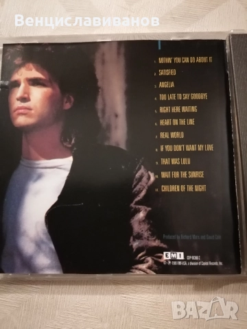 RICHARD MARX-REPEAT OFFENDER /ОРИГИНАЛЕН ДИСК , снимка 3 - CD дискове - 52630654
