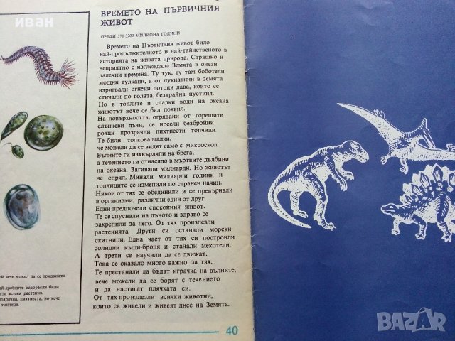 Палеонтология в картинки - И.Яковлева - 1984г. , снимка 7 - Детски книжки - 38938213