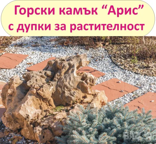 големи Горски КАМЪНИ за Декорация в двора, на цветни лехи, градински пътеки, кашпи, саксии, фонтани…, снимка 8 - Строителни материали - 49134864