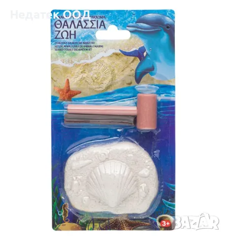 Комплект за разкопки на морски фосил, 12,5х21 см, снимка 2 - Образователни игри - 49461457