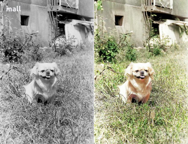 Дигитализирайте и оцветете вашите спомени!, снимка 2 - Други ценни предмети - 28448726