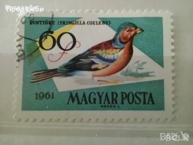 Красива колекция Унгарски пощенски марки 1961 г., снимка 2 - Филателия - 43391140