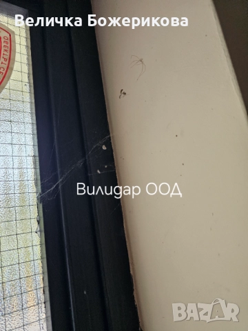 Почистване на входове, снимка 11 - Почистване на входове - 52151258