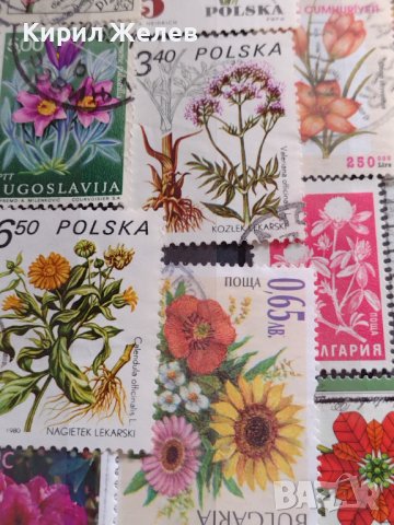 Пощенски марки смесени ЦВЕТЯ от цял свят перфектно състояние за КОЛЕКЦИЯ 22632, снимка 11 - Филателия - 40364561