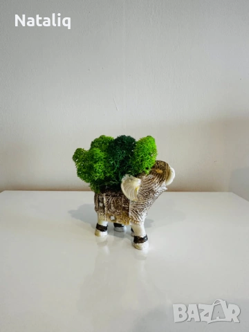 Декорации от скандинавски мъх, снимка 17 - Декорация за дома - 53307440