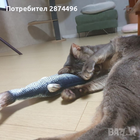 3117 Котешка играчка - плюшена риба, снимка 9 - За котки - 36398661