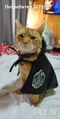 Наметало за котка и куче КОСПЛЕЙ - модерен дизайн, снимка 10 - За котки - 40460317