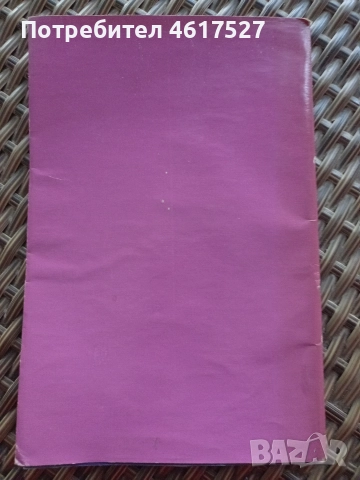 Радой Ралин Есенни къпини , снимка 2 - Художествена литература - 52629661