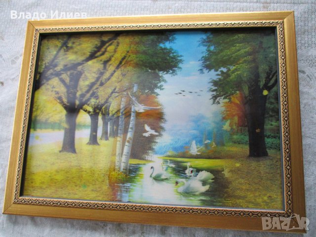 Картини разнообразни, снимка 5 - Картини - 32665722