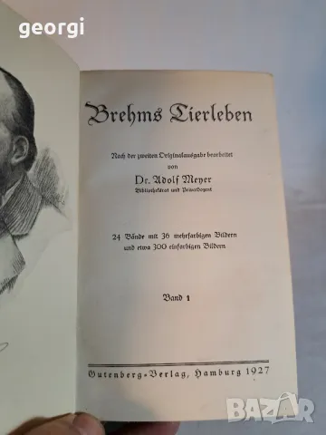 стари немски книги по зоология   10/1, снимка 4 - Антикварни и старинни предмети - 48902585