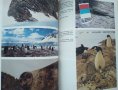Докосване до Антарктида. Борислав Каменов, Христо Пимпирев 1993 г., снимка 4