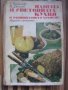 Нашата и световната кухня и рационалното хранене - Соня Чортанова, Николай Джелепов, снимка 1 - Специализирана литература - 43835045