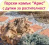 големи Горски КАМЪНИ за Декорация в двора, на цветни лехи, градински пътеки, кашпи, саксии, фонтани…, снимка 8