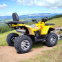 ATV 200cc MaxMotors Shark, снимка 4