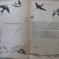 Книга "Дивото наследство на природата-Сали Каригар"-224 стр., снимка 4 - Специализирана литература - 43300882