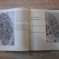 Книга "Тайните на клетката - Георги Г.Марков" - 230 стр., снимка 6 - Специализирана литература - 27719646