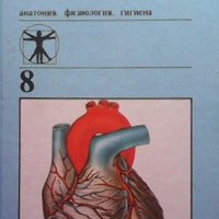 Человек. Анатомия, физиология, гигиена А. М. Цумер, снимка 1 - Специализирана литература - 34725154