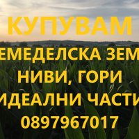 Купувам зем. земя гр.Симеоновград, снимка 1 - Земеделска земя - 43061373