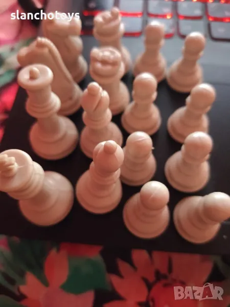 Магнитни фигури за шах, снимка 1