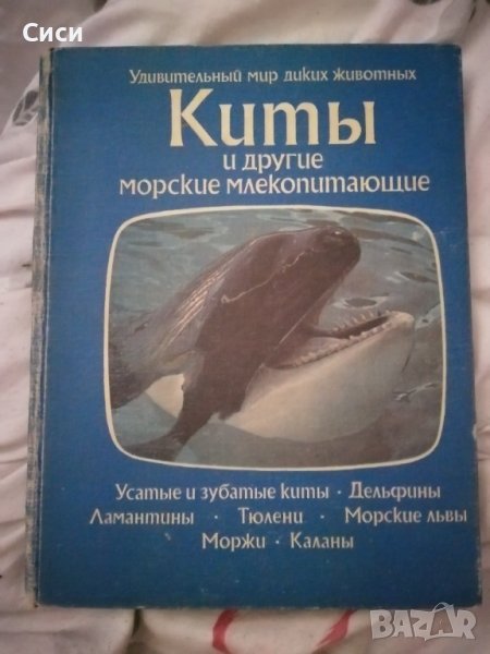 Киты и другие морские млекопитающие, снимка 1