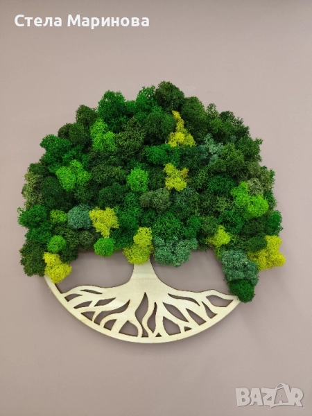 Дървото на живота със скандинавски мъх., снимка 1