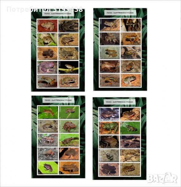 Чисти блокове Фауна Дъждовни Жаби 2020 от Тонго, снимка 1