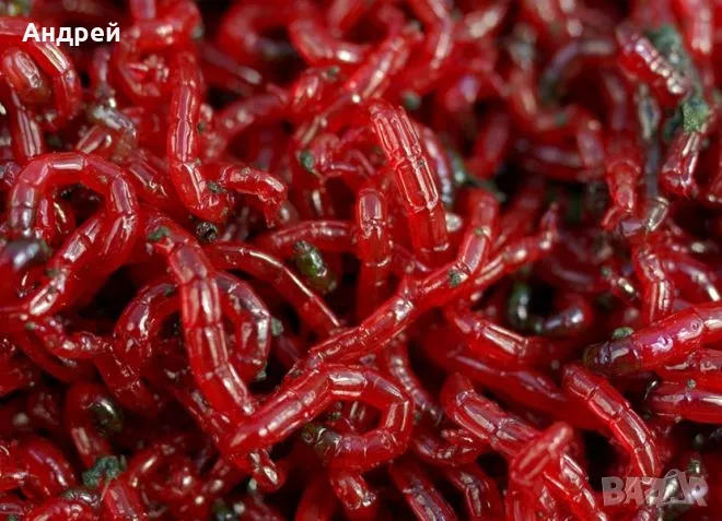 Замразен хирономус , снимка 1