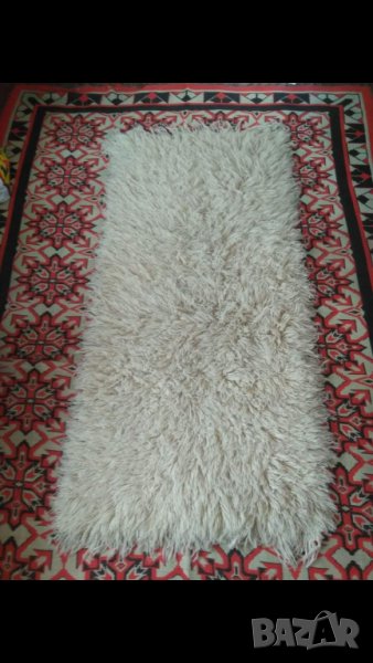 САМО СЕГА НАМАЛЕНА ЦЕНА Бял родопски китеник с дълъг косъм, снимка 1