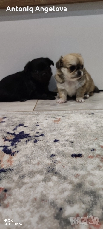 две момиченца , снимка 1