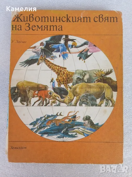 Животинският свят на Земята, снимка 1