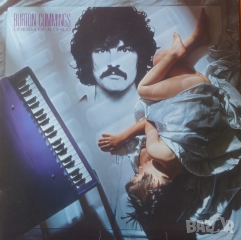 Грамофонни плочи х 10.00 лева, снимка 17 - Грамофонни плочи - 50703953