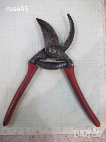 Ножица лозарска - 1