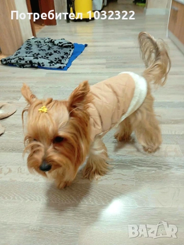 Елеци за кученца от промазка, вата и полар за подплата. , снимка 9 - Други - 53490653