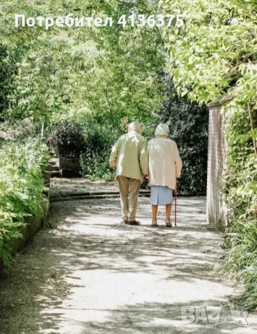 АСУ"У дома" асистенти