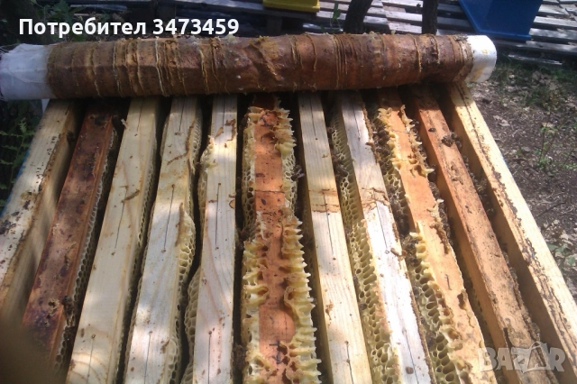 Био пчелен мед от производител , снимка 3 - Пчелни продукти - 51529460