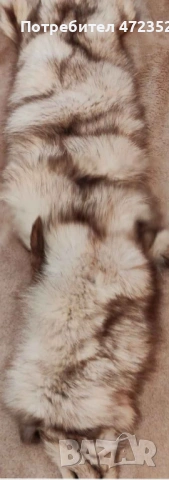 Разкошна сребърна лисица само за ценители , снимка 2 - Елеци - 53287699