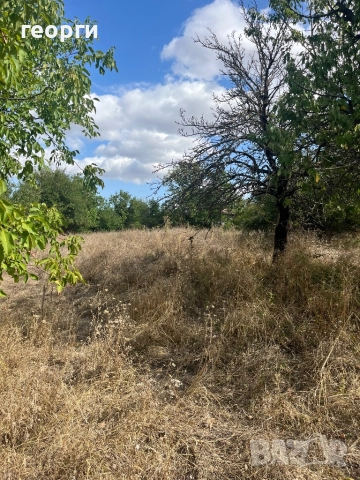 Стара къща , снимка 4 - Къщи - 51733720