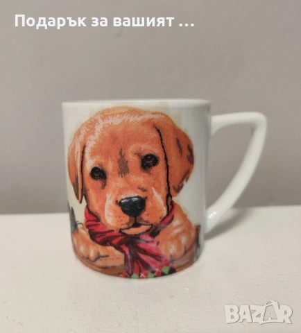 Домашни любимци. Подарък за любителите на котки, кучета, зайчета., снимка 3 - Други - 42854789