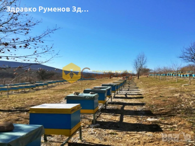 Пчелни отвотки ДБ и ЛР, снимка 3 - За пчели - 53334405