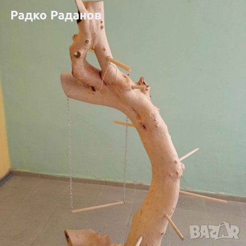 Декоративно дърво за папагал , снимка 3 - Папагали - 32705520