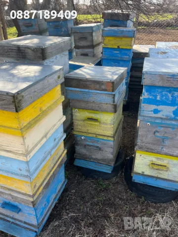 кошери, снимка 2 - За пчели - 49511879