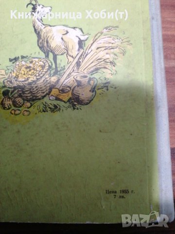 Даниел Дефо - Робинзон Крузо - 1956г. - Съкровище с гравюри, снимка 14 - Художествена литература - 39419890