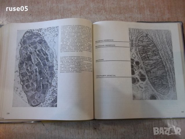 Книга "Тайните на клетката - Георги Г.Марков" - 230 стр., снимка 6 - Специализирана литература - 27719646