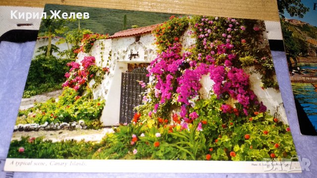 ЛИТ 4 СТАРИ ПОЩЕНСКИ КАРТИЧКИ ПОРТО АЛИКАНТЕ ТЕНЕРИФЕ КАНАРСКИ ОСТРОВИ ТЕМА КУРОРТИ ЕКЗОТИКА 32332, снимка 4 - Филателия - 38685089